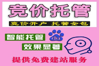 行业领先企业的百度广告推广经验分享